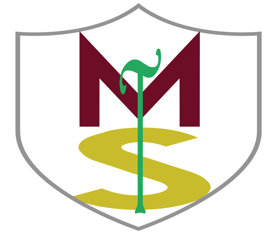 logo-new-4th-ms-tax-accounting-nov-19-2019-ms-tax-accounting-inc