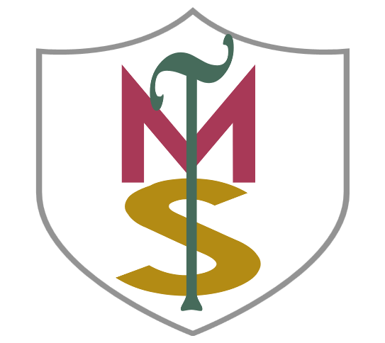 ms-tax-accounting-new-logo-nov-19-2019-ms-tax-accounting-inc